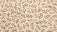 Robens Fleece Carpet Yurt Robens Fleece Carpet Yurt