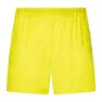 Rock Experience Elephant Rock Shorts