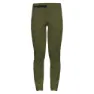 Sphagnum green