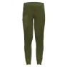 Sphagnum green
