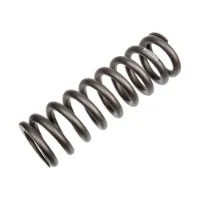 Rock Shox 450lb Stötdämparfjäder Rock Shox 450lb Stötdämparfjäder