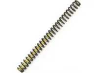 Rock Shox Ersatzfeder für Domain Single Crown ab Modell 2007