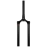 Rock Shox Lyrik Ultimate Debonair Gaffel För Krona/styrrör/överrör-samling, Black, 29B"