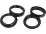 Rock Shox Service Kit Staubabstreifer für Totem