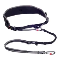 Rogz Airtech Hlsb85 G Bälte Rogz Airtech Hlsb85 G Bälte