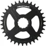 Rotor E-MTB Kettenblatt Direct Mount für Fazua, noQ