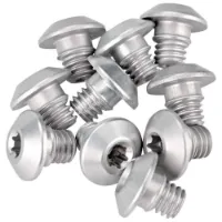 Rotor Shift System Bleeding Bult 10 Enheter Rotor Shift System Bleeding Bult 10 Enheter
