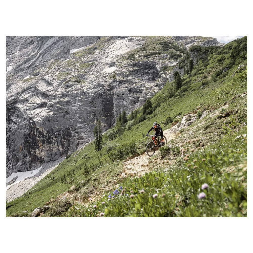 Rotwild R.x375 Fs Core 29´´ Elcykel Mtb, Red, M, 375Wh