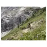 Rotwild R.x375 Fs Core 29´´ Elcykel Mtb, Red, M, 375Wh