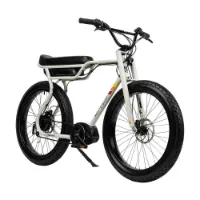Ruff Cycles Biggie Elcykel Ruff Cycles Biggie Elcykel