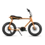 Ruff Cycles Lil Buddy E1972 Bosch Pl Cx Elcykel, Tango orange, One Size, 500Wh