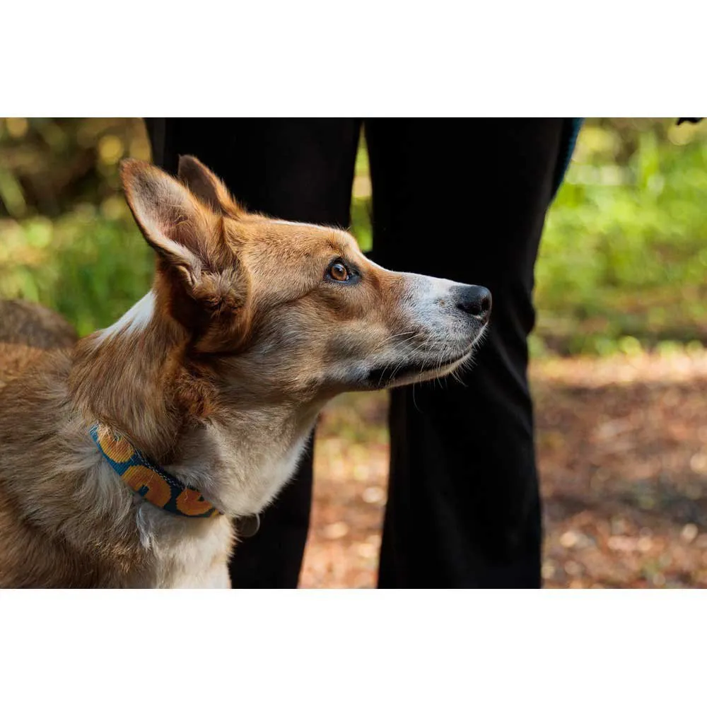 Ruffwear Crag Reflective Dog Collar