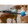 Ruffwear Double Track™ Coupler Hundkoppel, Basalt gray, One Size