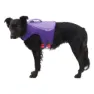 Ruffwear Float Coat™ Hundjacka
