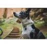 Ruffwear Knot-a-collar™ Hundhalsband