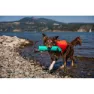 Ruffwear Lunker Hund Leksak, Aurora teal, M