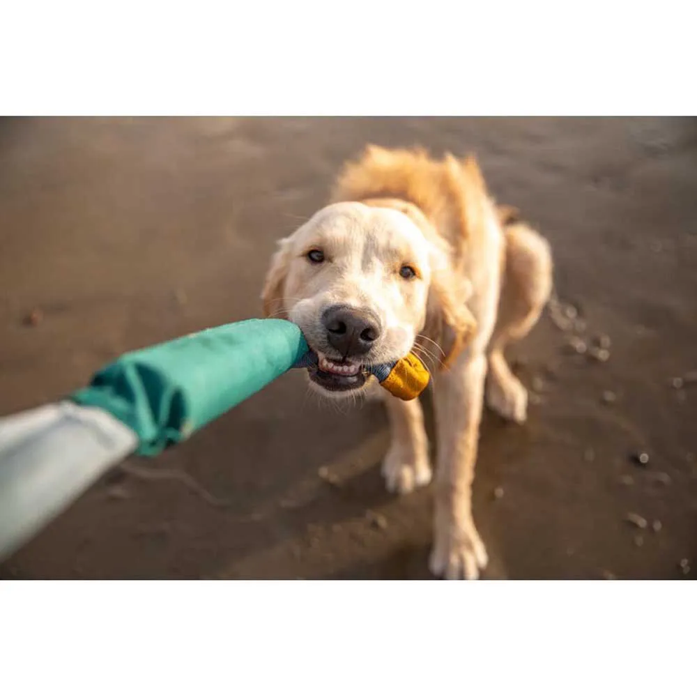 Ruffwear Pacific Loop™ Hund Leksak, Aurora teal, One Size
