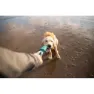 Ruffwear Pacific Loop™ Hund Leksak, Aurora teal, One Size
