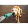Ruffwear Pacific Loop™ Hund Leksak, Aurora teal, One Size