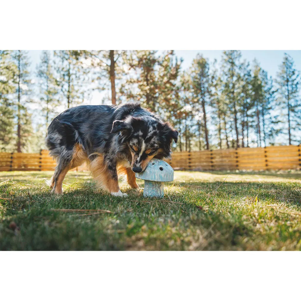 Ruffwear Porchini™ Bitleksak