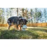 Ruffwear Porchini™ Bitleksak