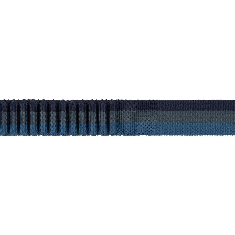 Ruffwear Roamer Leash