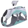 Ruffwear Swamp Cooler™ Hundsele