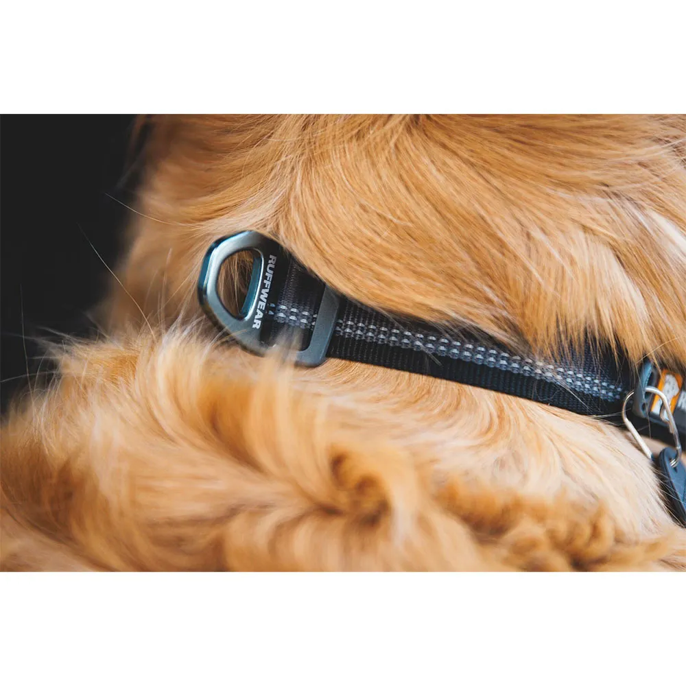 Ruffwear Top Rope™ Hundhalsband