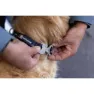 Ruffwear Top Rope™ Hundhalsband