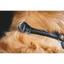 Ruffwear Top Rope™ Hundhalsband