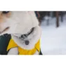 Ruffwear Vert™ Hundjacka