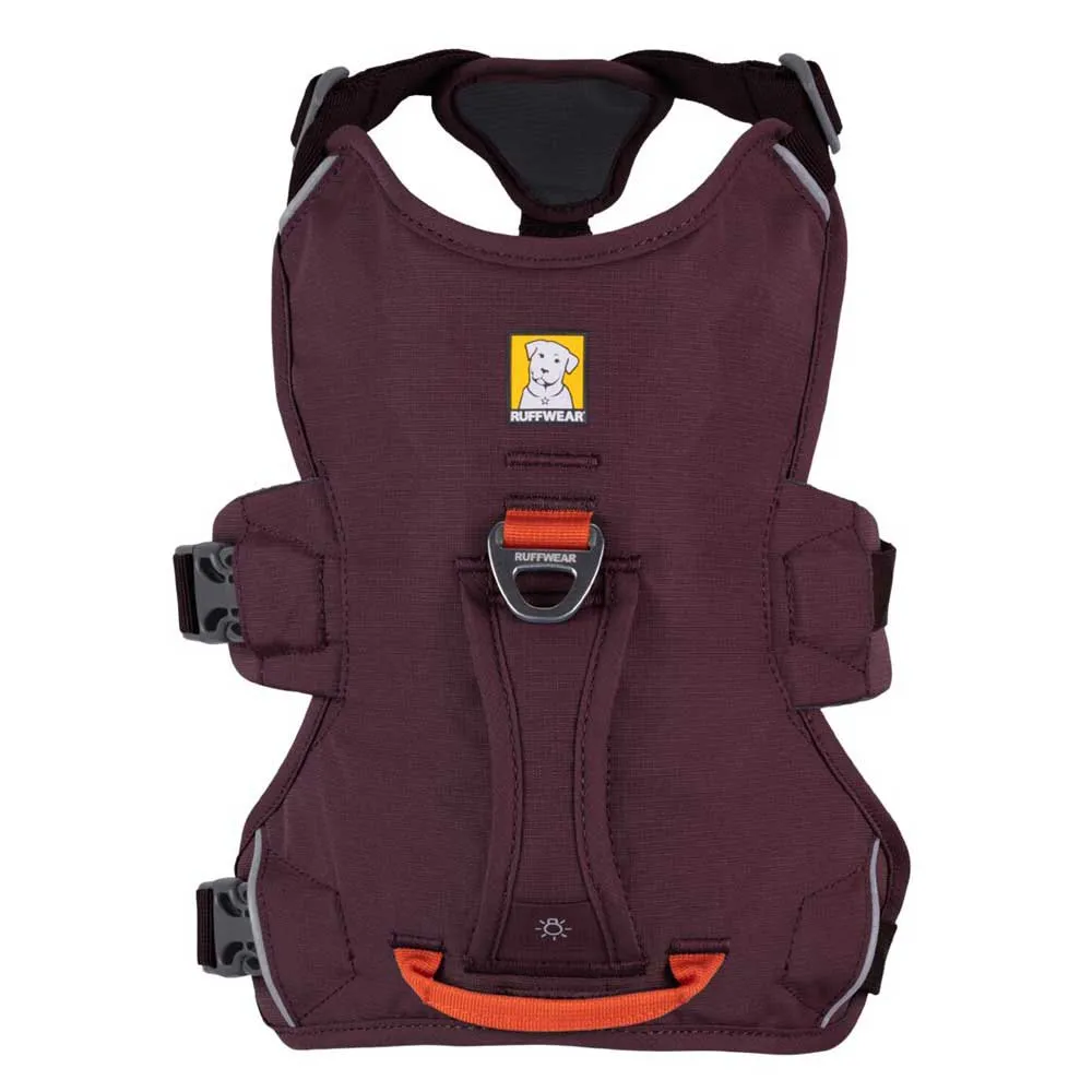 Ruffwear Web Master Hundsele