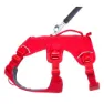 Ruffwear Web Master™ Hundsele