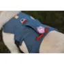 Ruffwear Web Master Hundsele