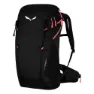 Salewa Alp Trainer 20l Ryggsäck