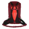 Salewa Alp Trainer 20l Ryggsäck