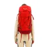 Salewa Alptreck 38+5l Damryggsäck, Pompeian red / syrah