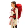 Salewa Alptreck 38+5l Damryggsäck, Pompeian red / syrah