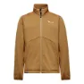 Spruce yellow