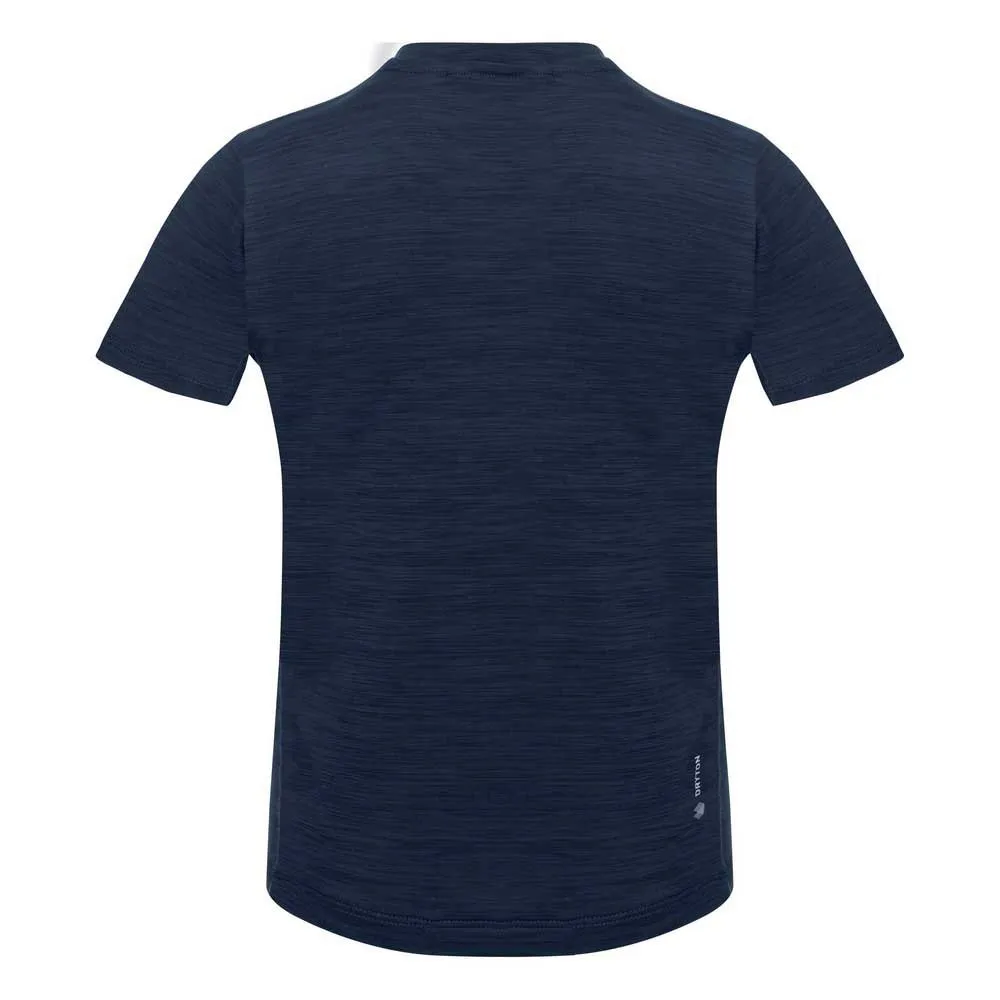 Salewa Eagle Dry T-shirt Med Korta ärmar Salewa Eagle Dry T-shirt Med Korta ärmar