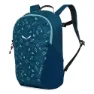 Salewa Explorer 12l Ryggsäck, Pond