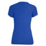 Salewa Graphic Dri-release T-shirt Med Korta ärmar, Electric melange