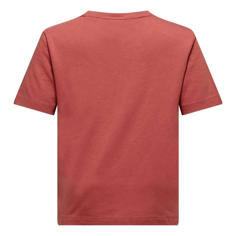 Salewa Graphic T-shirt Med Korta ärmar