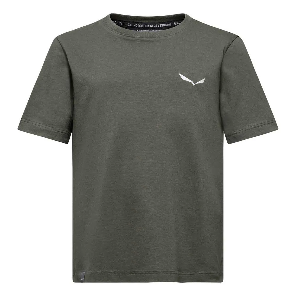 Salewa Graphic T-shirt Med Korta ärmar Salewa Graphic T-shirt Med Korta ärmar