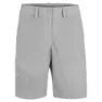 Salewa Isea Dryton Shorts