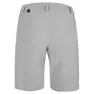 Salewa Isea Dryton Shorts