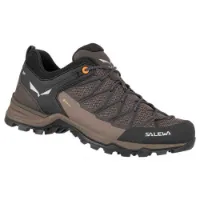 Salewa Mtn Trainer Lite Goretex Approachskor