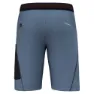 Salewa Pedroc 3 Dst Shorts
