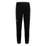 Salewa Pedroc Durastretch Wool Byxor