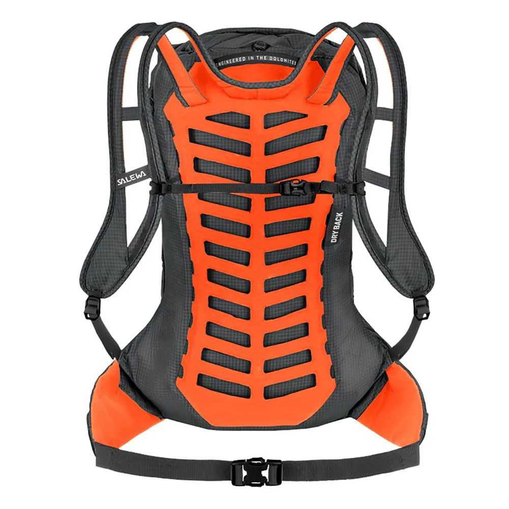 Salewa Pedroc Pro 22l Ryggsäck